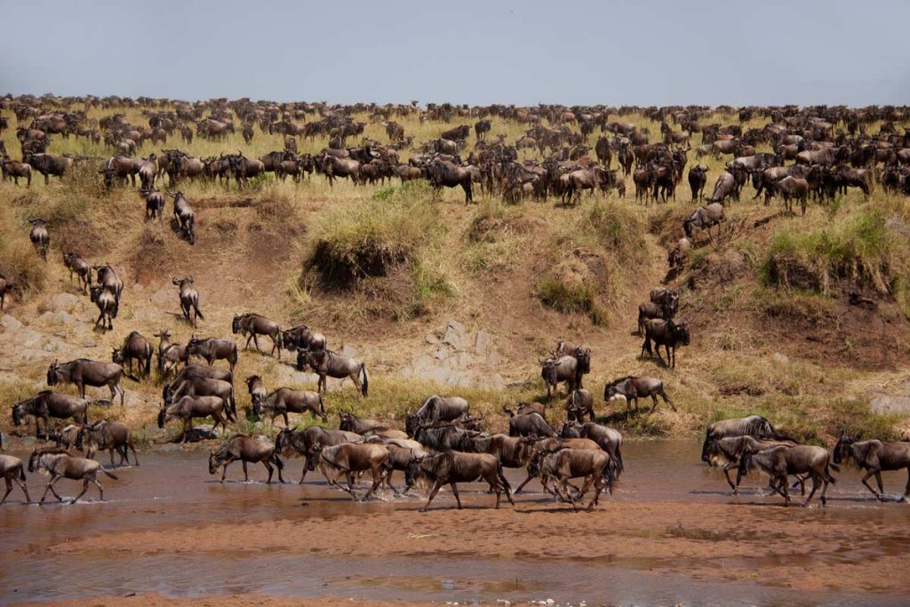 Tanzania Trip