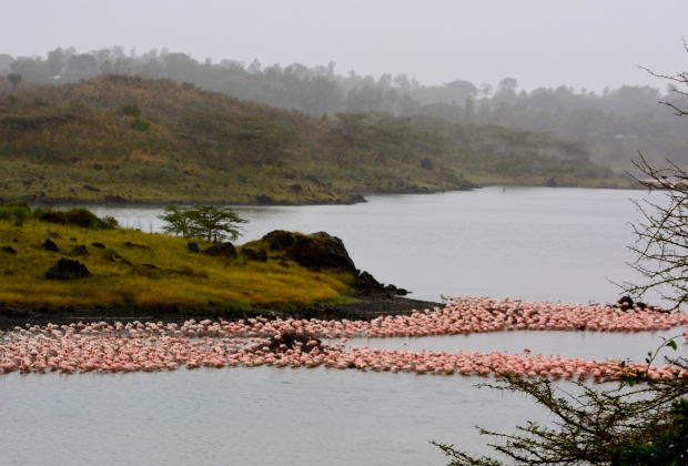 Arusha National Park Canoeing Tour