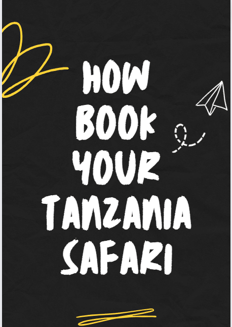 How to Book your Tanzania Safari