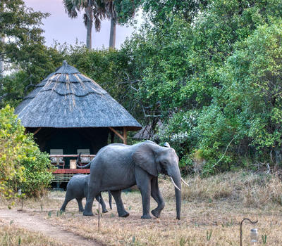 mbalimbali katavi lodge