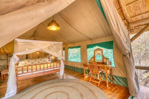 deluxe tanzania safari