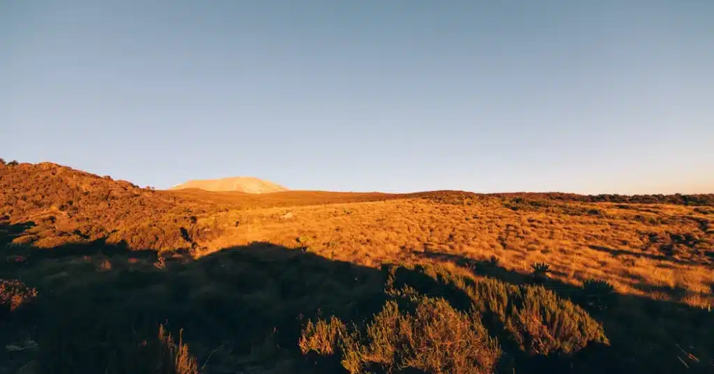 5 Days Kilimanjaro Marangu Route