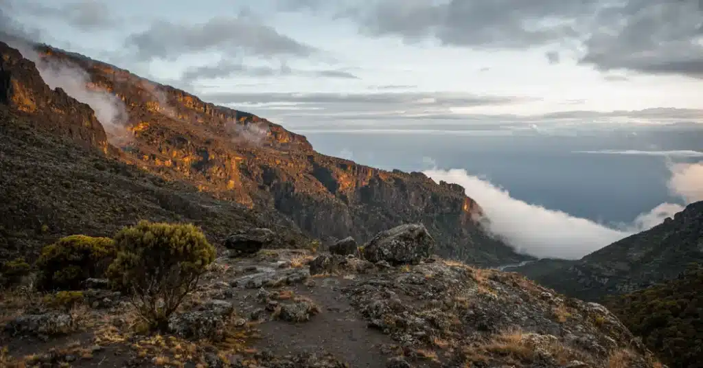 5 Days Kilimanjaro Marangu Route