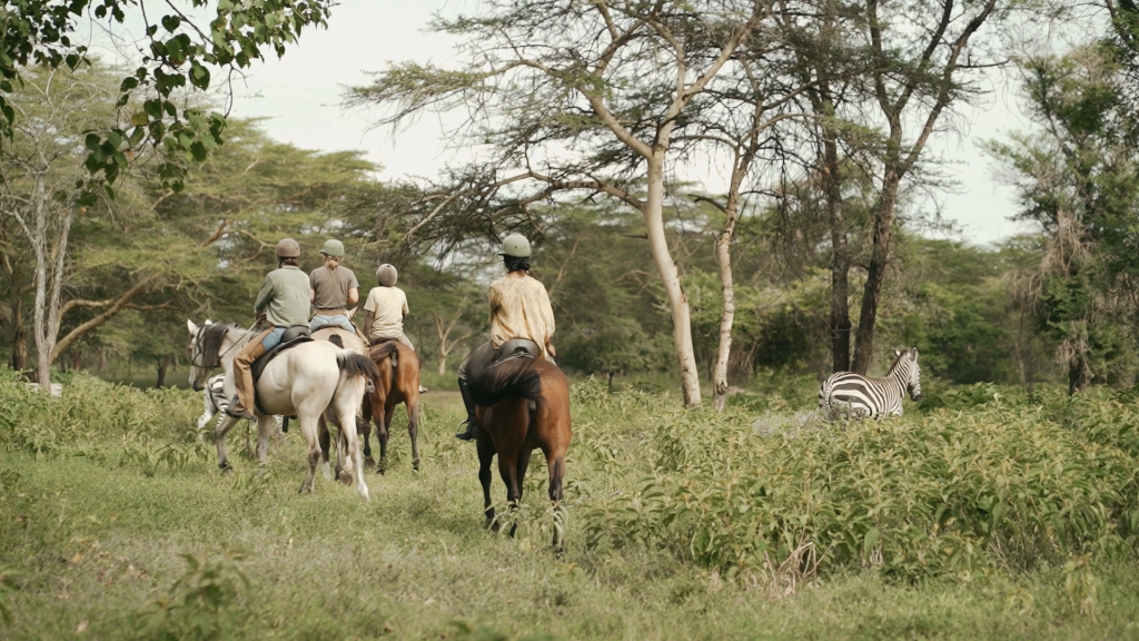 Horseback Ride Safari At Dolly Estate