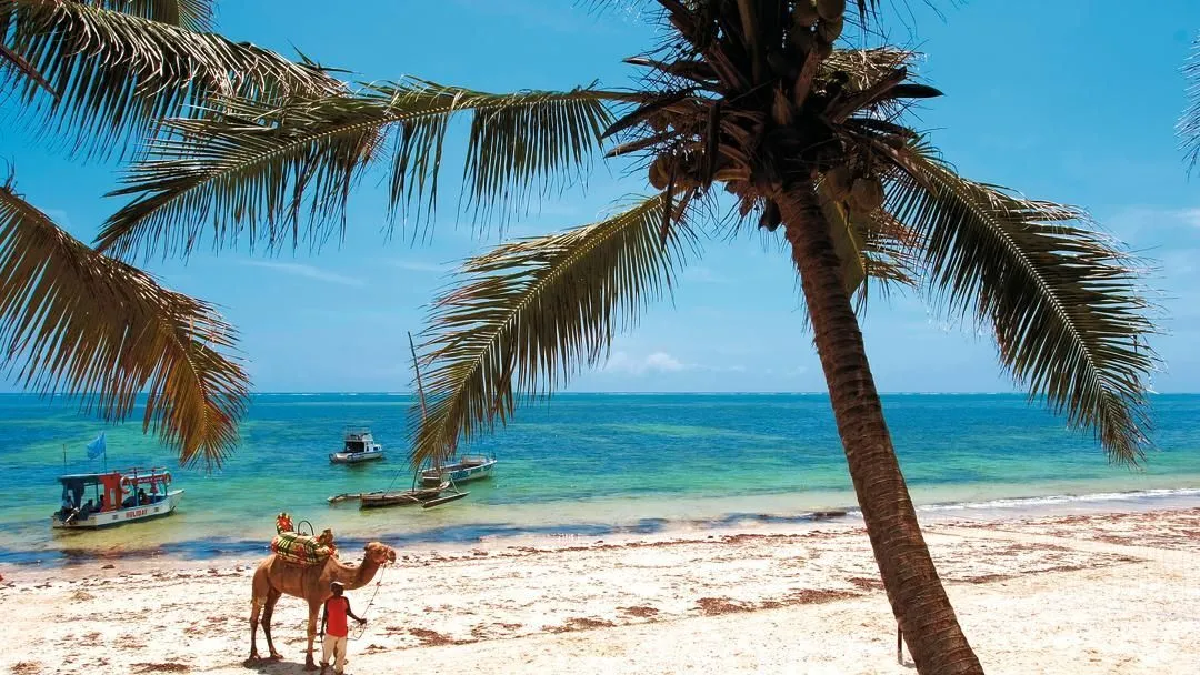 6 days mombasa beach