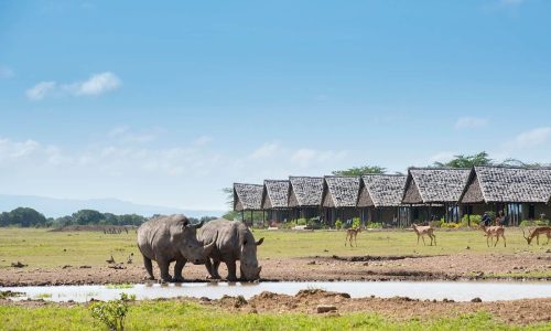 Sweetwaters Serena Camp