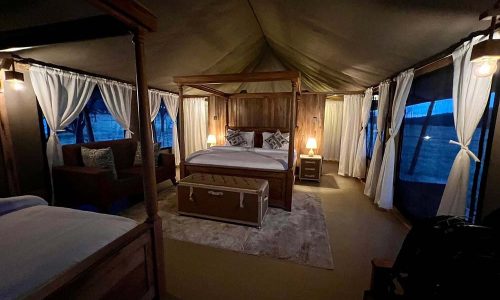 into wild africa luxury tented safari camp