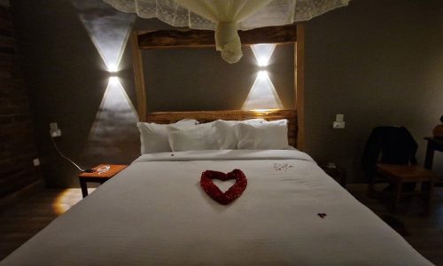 under the shade lodge